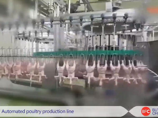 Automated poultry production line