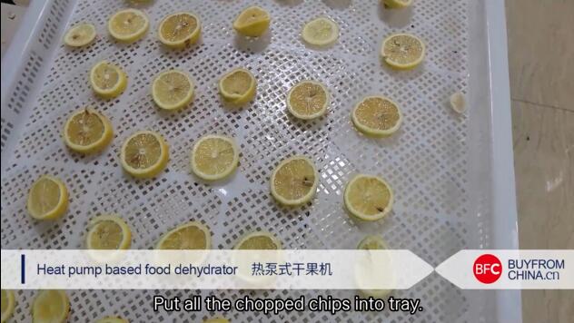 Heat pump based food dehydrator (Drying lemon with dryer)